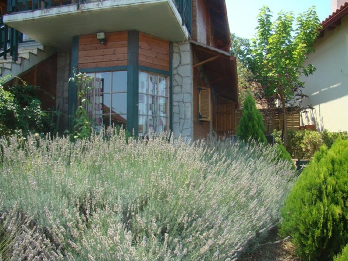 Zeus-Village Οικισμός Φινλανδικών Chalet Με Πισίνες & Γυμναστήριο Molos  Phòng bức ảnh
